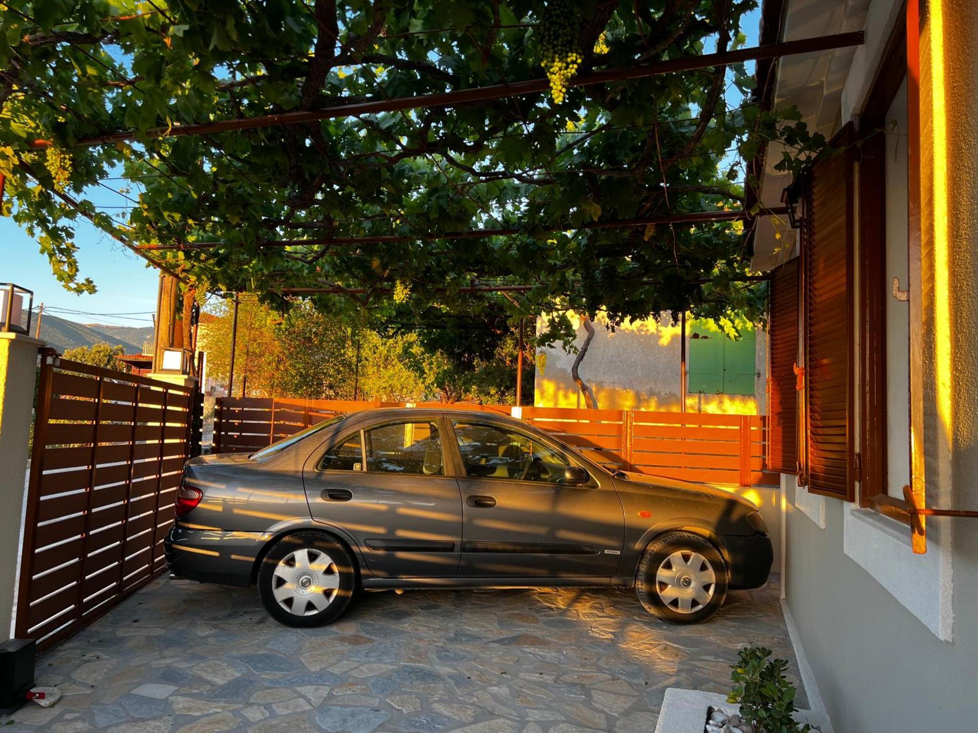 Anthea Country house *